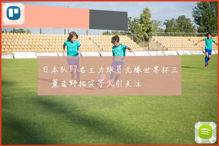日本队17名主力球员无缘世界杯三笘薰南野拓实等人引关注